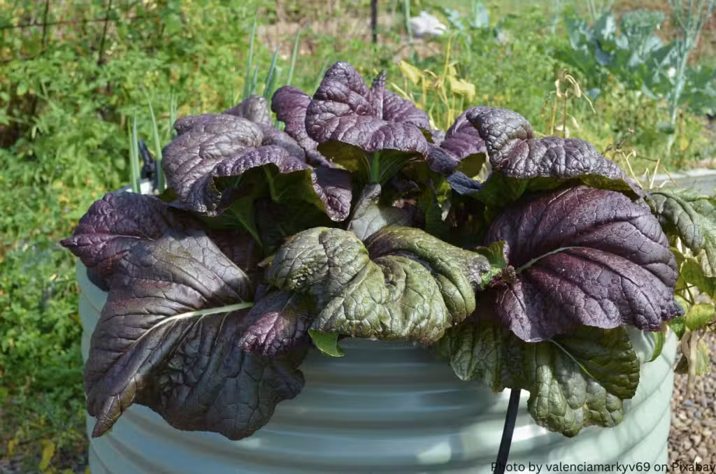 Hochbeet aus Metall