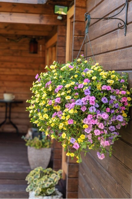 Blumenampel an der Holzfassade des Gartenhauses mit Sauna